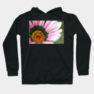 Gazania Heart Macro Hoodie